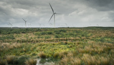 Pictured: Scotland's Whitelee wind farm